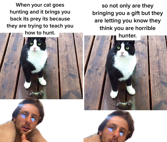 Guy Promises To Give Cat Facts You Didn't Know, Delivers 22 Interesting Ones Guy Promises To Give Cat Facts You Didn't Know, Delivers 22 Interesting Ones