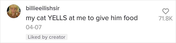 Guy Promises To Give Cat Facts You Didn't Know, Delivers 22 Interesting Ones Guy Promises To Give Cat Facts You Didn't Know, Delivers 22 Interesting Ones