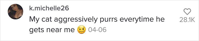 Guy Promises To Give Cat Facts You Didn't Know, Delivers 22 Interesting Ones