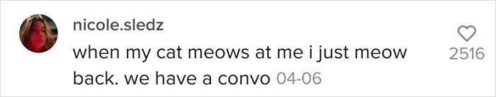 Guy Promises To Give Cat Facts You Didn't Know, Delivers 22 Interesting Ones Guy Promises To Give Cat Facts You Didn't Know, Delivers 22 Interesting Ones