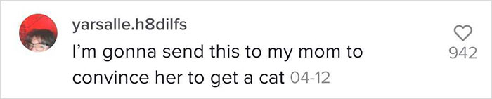 Guy Promises To Give Cat Facts You Didn't Know, Delivers 22 Interesting Ones Guy Promises To Give Cat Facts You Didn't Know, Delivers 22 Interesting Ones