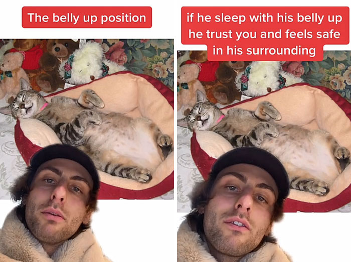 Guy Promises To Give Cat Facts You Didn't Know, Delivers 22 Interesting Ones Guy Promises To Give Cat Facts You Didn't Know, Delivers 22 Interesting Ones