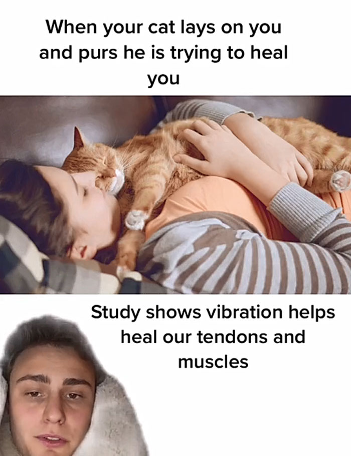 Guy Promises To Give Cat Facts You Didn't Know, Delivers 22 Interesting Ones