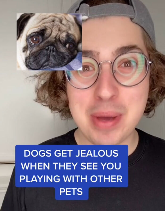 10 Amazing Dog Facts