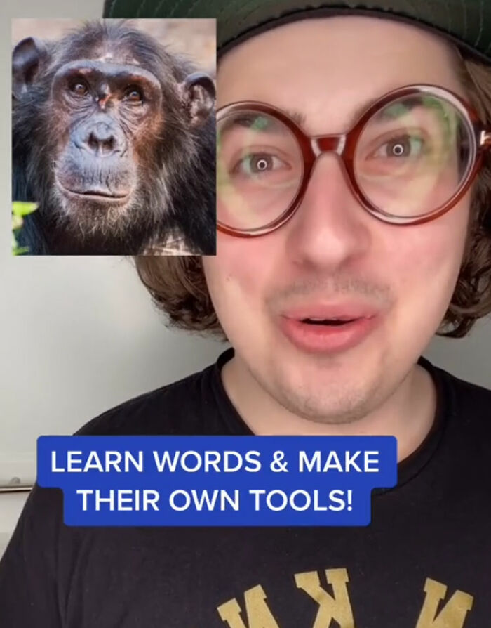 5 Of The World Smartest Animals