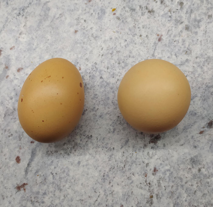 One Of My Chickens Laid A Spherical Egg. Normal Egg For Comparison