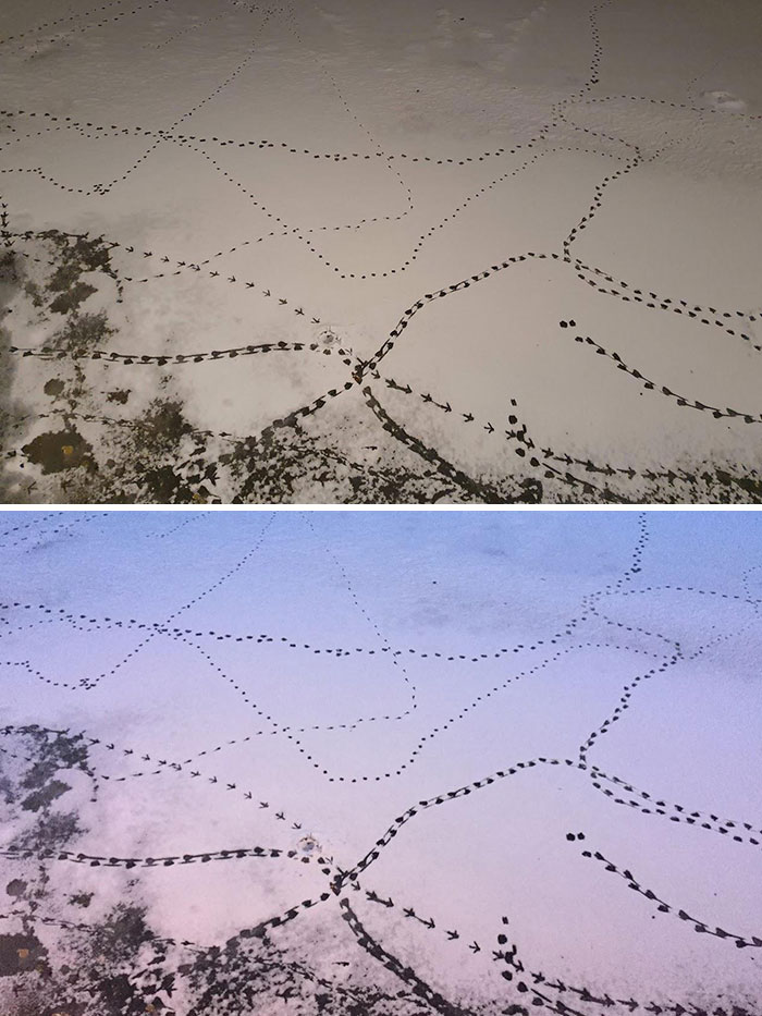 My Flatmate And I Took Nearly The Same Photo Walking Home At Different Times