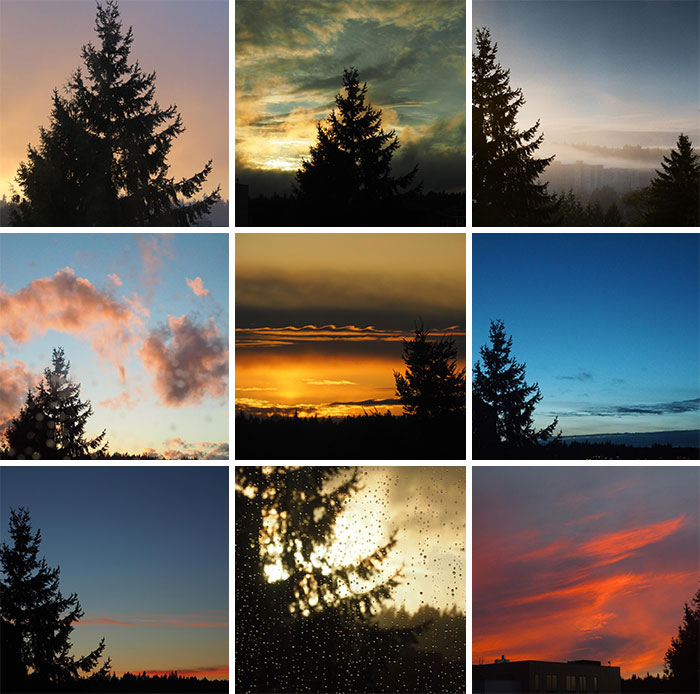 All The Different Flavors Of Sunset I Get Out My Apartment Window
