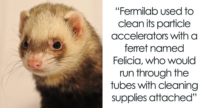 50 New ‘Today I Learned’ Facts That Prove It’s Never Too Late To Learn Something New