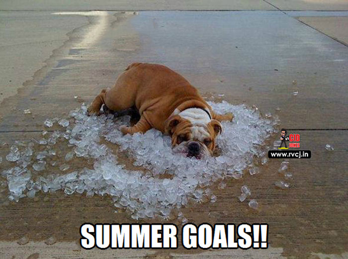 Jokes-To-Start-Off-Summer