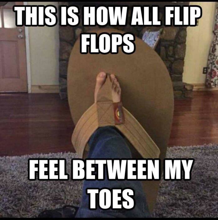 Jokes-To-Start-Off-Summer