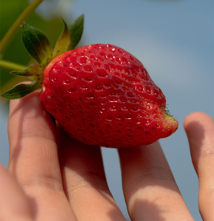 Straight Men Share The Most Basic Things They Did That Someone Claimed Were "Gay" (50 Answers)