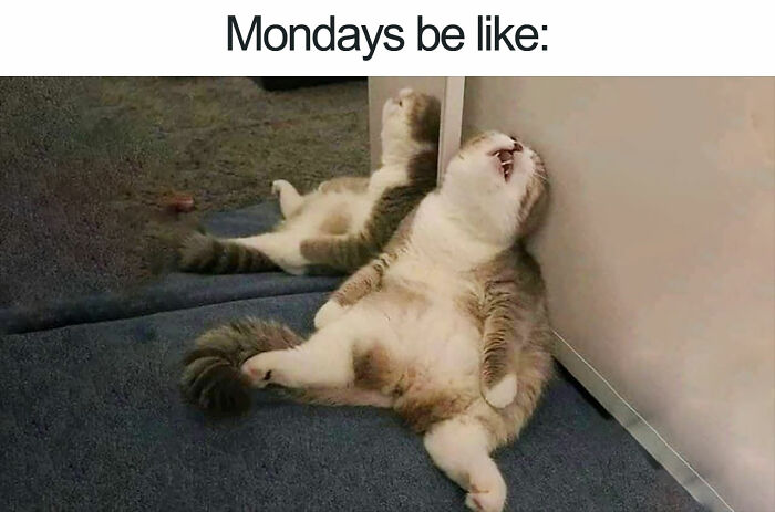 And Other Days Of The Week Too