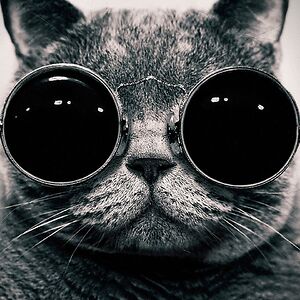 yavanna_green avatar