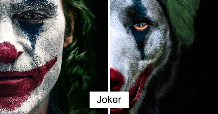 Artist Recreates Movie Posters And Replaces Actors With Cats And Dogs (19 Pics)