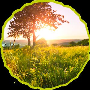 soul_and_sunset avatar