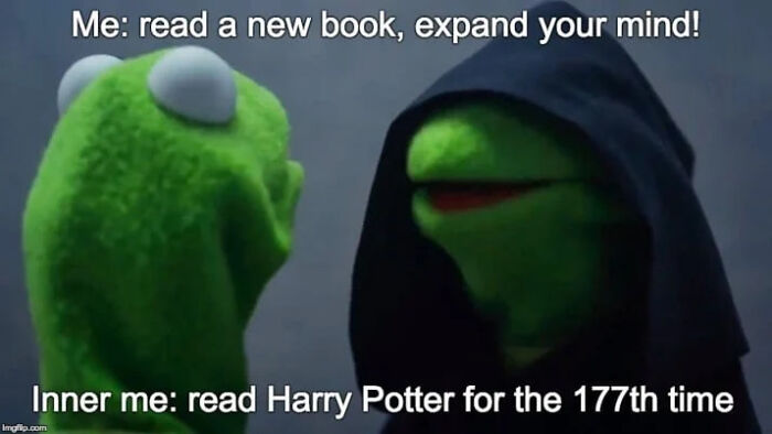 For Any Harry Potter Fan