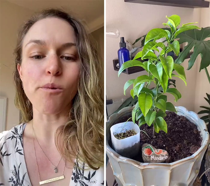 People-Share-Strange-Quarantine-Habits