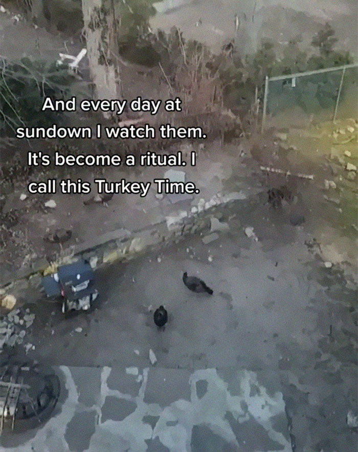 People-Share-Strange-Quarantine-Habits