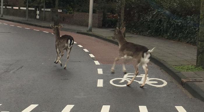 30 ‘Today I Learned’ Facts That Show It’s Never Too Late To Learn (New Pics)