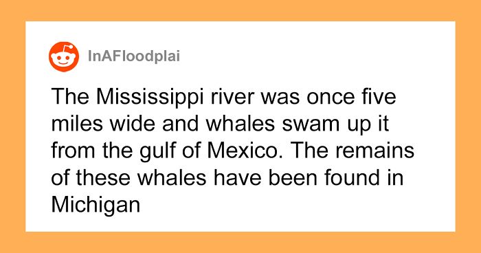 30 ‘Today I Learned’ Facts That Show It’s Never Too Late To Learn (New Pics)