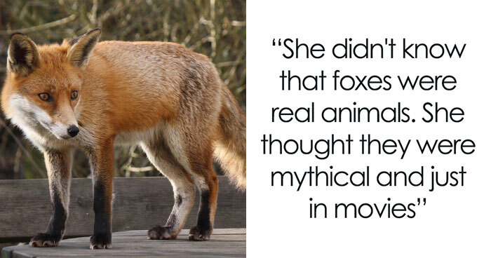 40 Weird, Yet Understandable Situations After Which People Realized They Should Stop Dating Someone