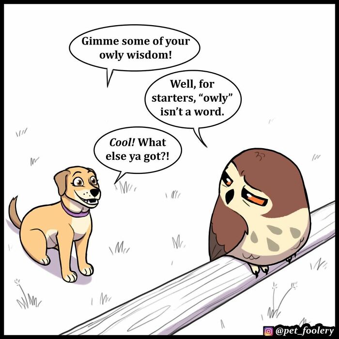 9 New Hilariously Adorable Comics About Brutus And Pixie To Instantly Make Your Day 9 New Hilariously Adorable Comics About Brutus And Pixie To Instantly Make Your Day