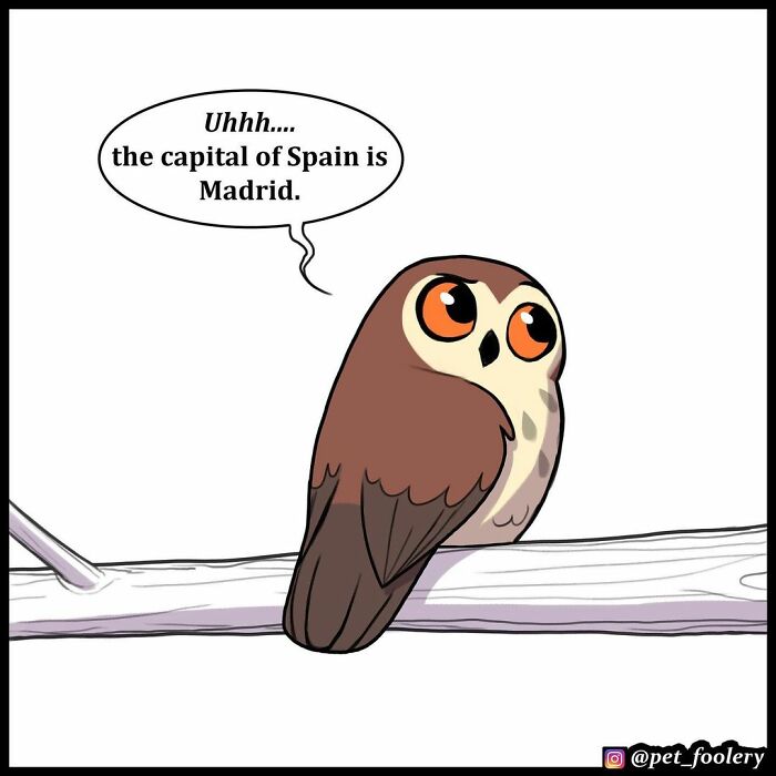 9 New Hilariously Adorable Comics About Brutus And Pixie To Instantly Make Your Day