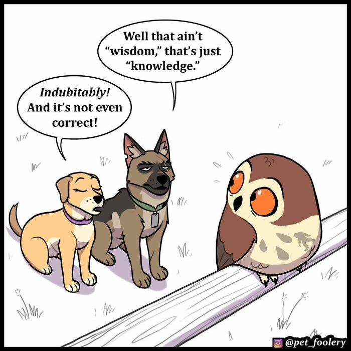 9 New Hilariously Adorable Comics About Brutus And Pixie To Instantly Make Your Day