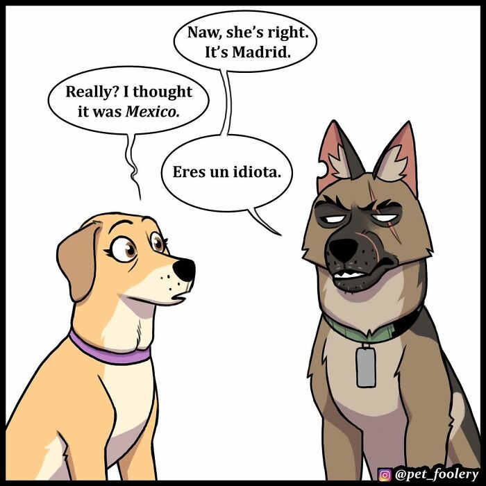 9 New Hilariously Adorable Comics About Brutus And Pixie To Instantly Make Your Day