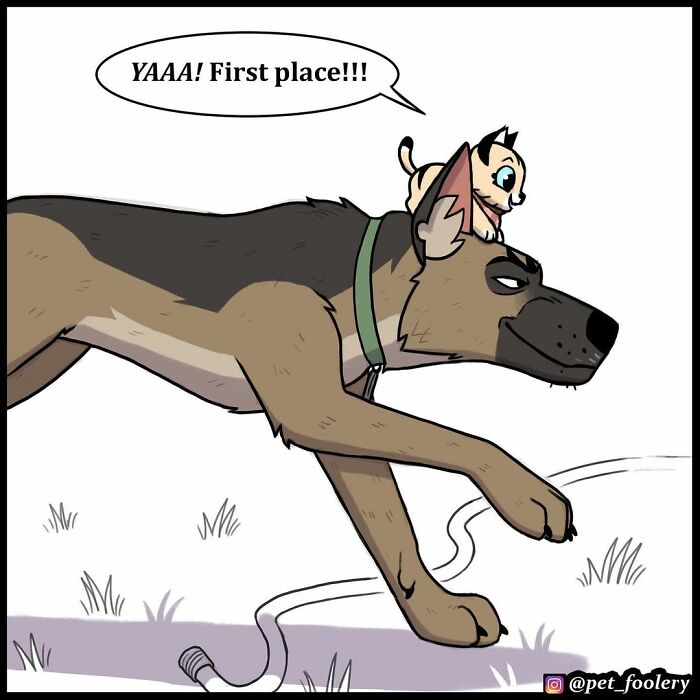 9 New Hilariously Adorable Comics About Brutus And Pixie To Instantly Make Your Day 9 New Hilariously Adorable Comics About Brutus And Pixie To Instantly Make Your Day