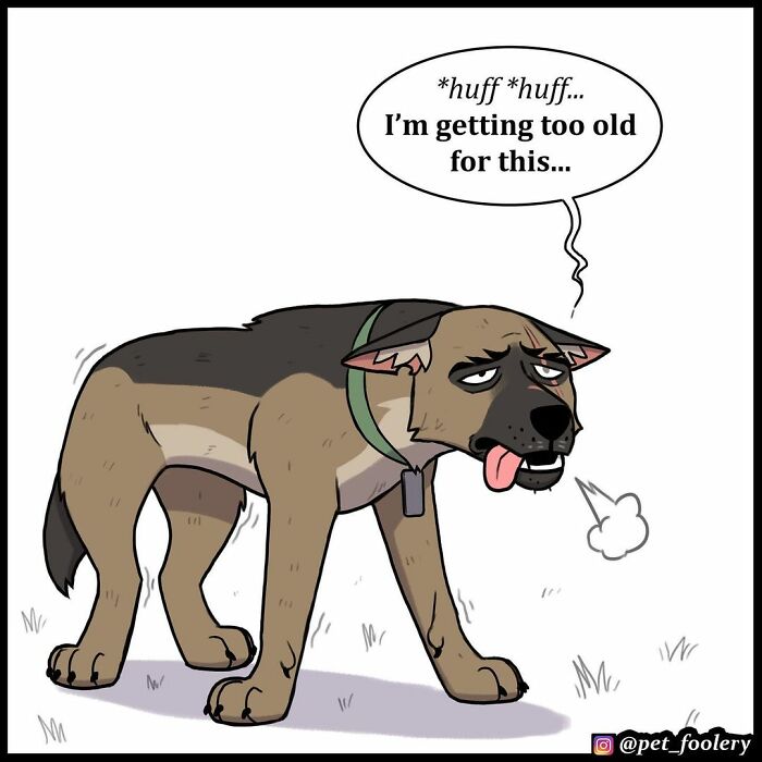 9 New Hilariously Adorable Comics About Brutus And Pixie To Instantly Make Your Day