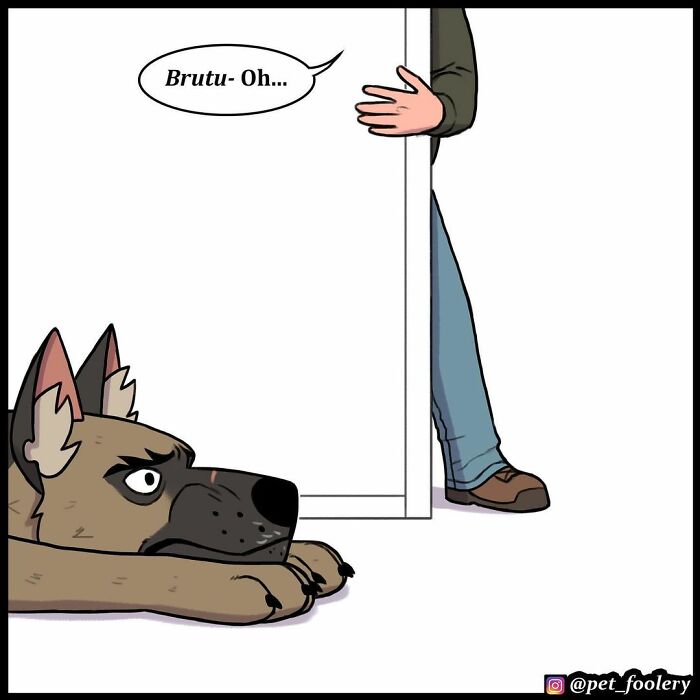 9 New Hilariously Adorable Comics About Brutus And Pixie To Instantly Make Your Day 9 New Hilariously Adorable Comics About Brutus And Pixie To Instantly Make Your Day