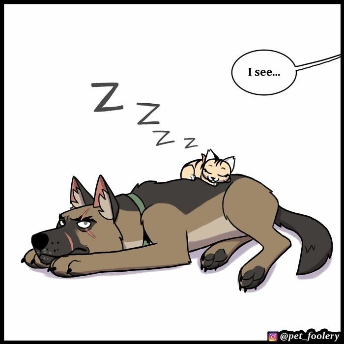 9 New Hilariously Adorable Comics About Brutus And Pixie To Instantly Make Your Day 9 New Hilariously Adorable Comics About Brutus And Pixie To Instantly Make Your Day