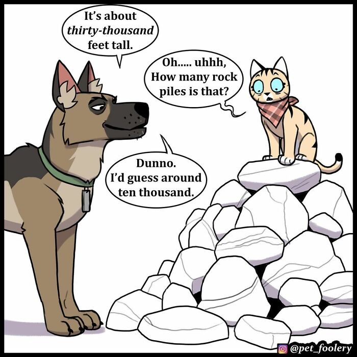 9 New Hilariously Adorable Comics About Brutus And Pixie To Instantly Make Your Day