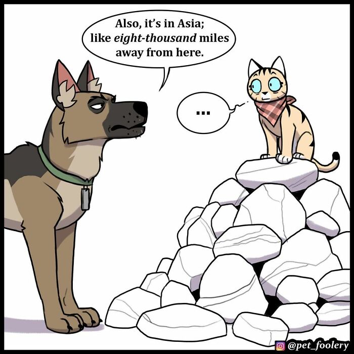 9 New Hilariously Adorable Comics About Brutus And Pixie To Instantly Make Your Day