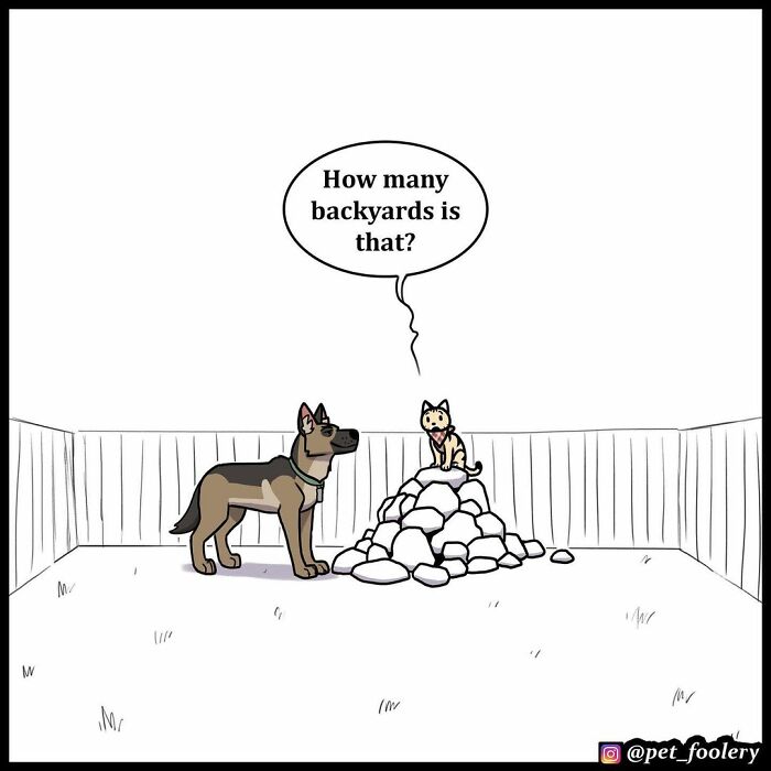 9 New Hilariously Adorable Comics About Brutus And Pixie To Instantly Make Your Day 9 New Hilariously Adorable Comics About Brutus And Pixie To Instantly Make Your Day