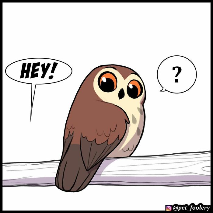 9 New Hilariously Adorable Comics About Brutus And Pixie To Instantly Make Your Day 9 New Hilariously Adorable Comics About Brutus And Pixie To Instantly Make Your Day