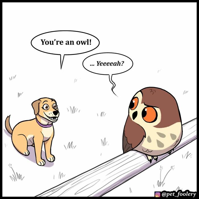 9 New Hilariously Adorable Comics About Brutus And Pixie To Instantly Make Your Day 9 New Hilariously Adorable Comics About Brutus And Pixie To Instantly Make Your Day