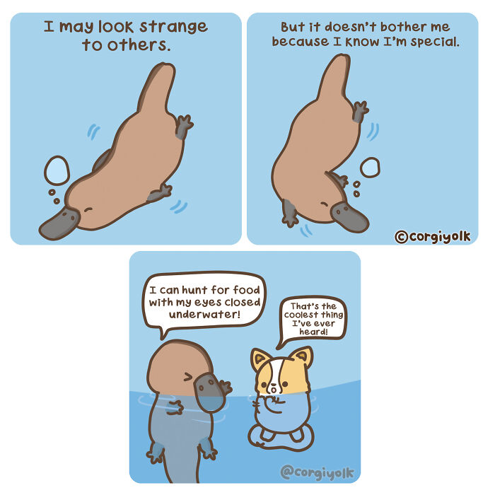 My 15 Wholesome Comics About A Corgi And His Animal Friends To Warm Your Heart Amid Pandemic