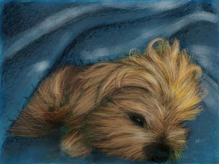 Porkchop, Our Rescue Mutt