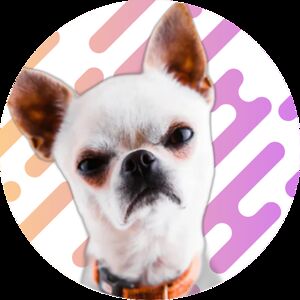 paigeemmanuel avatar