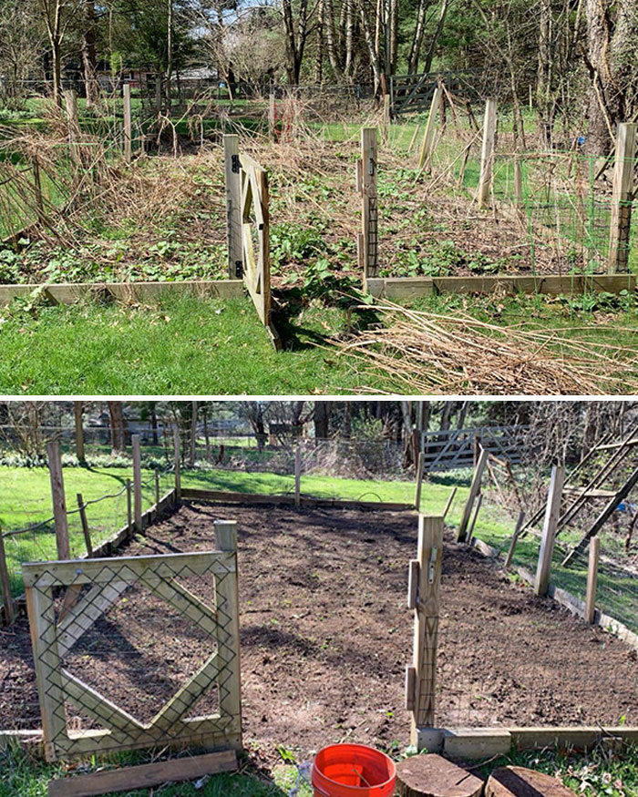 Quarantine Boredom Led Me To Clearing Out My Family’s Forgotten Garden Yesterday