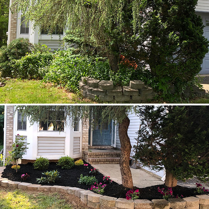 Covid Project. First Time Doing Any Landscaping Whatsoever