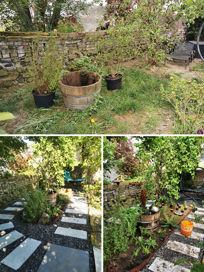 This Shade Area In My Garden Needed Remodeling And Corona Gave Me The Time