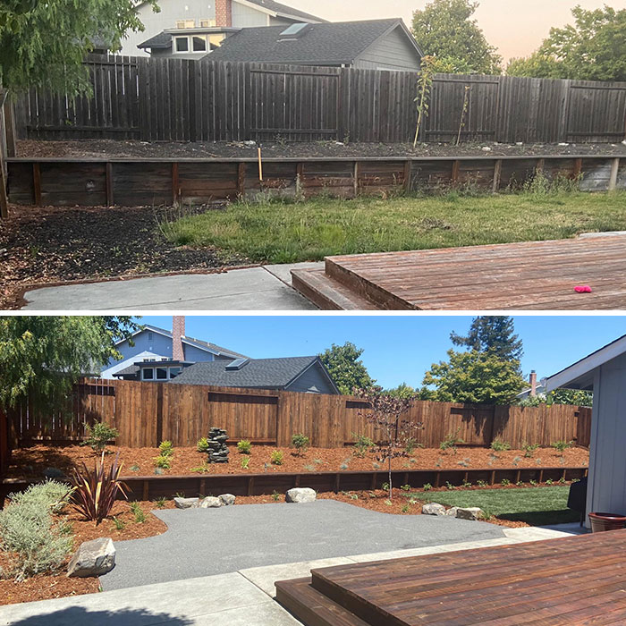 Backyard Needed A Lockdown Makeover