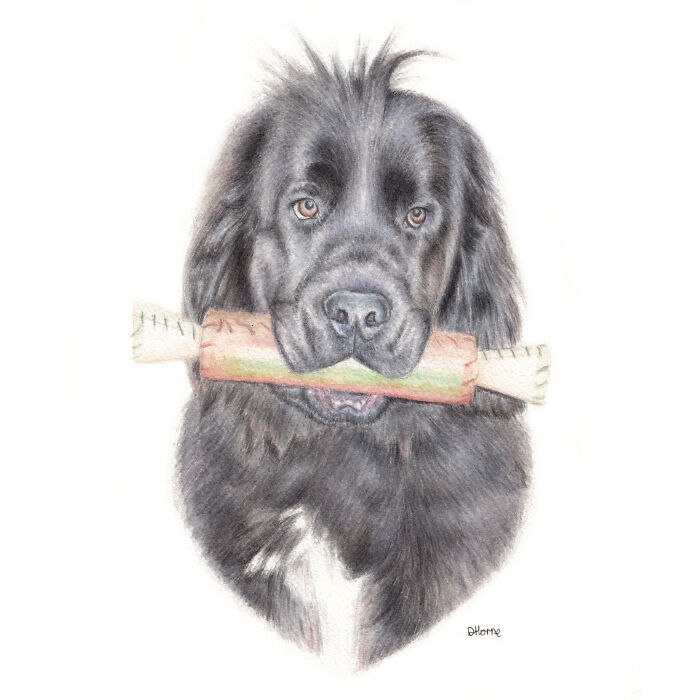 I Paint Watercolour Pet Portraits