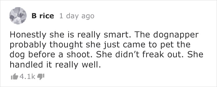 News Anchor Reporting On A Stolen Puppy Sees The Same Dog In The Street, Realizes It's The Kidnapper Walking Him News Anchor Reporting On A Stolen Puppy Sees The Same Dog In The Street, Realizes It's The Kidnapper Walking Him