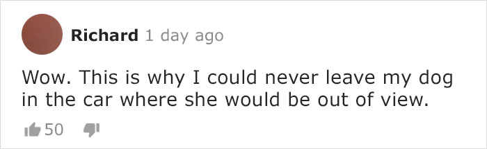 News Anchor Reporting On A Stolen Puppy Sees The Same Dog In The Street, Realizes It's The Kidnapper Walking Him News Anchor Reporting On A Stolen Puppy Sees The Same Dog In The Street, Realizes It's The Kidnapper Walking Him