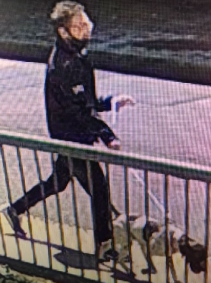 News Anchor Reporting On A Stolen Puppy Sees The Same Dog In The Street, Realizes It's The Kidnapper Walking Him News Anchor Reporting On A Stolen Puppy Sees The Same Dog In The Street, Realizes It's The Kidnapper Walking Him